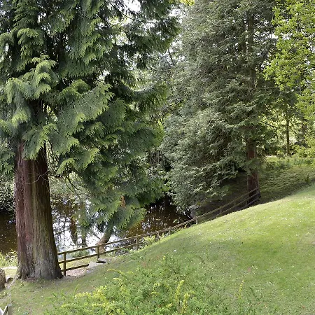 Redwoods *